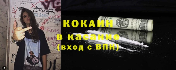 хмурый Осинники