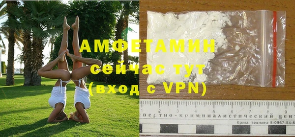 хмурый Осинники