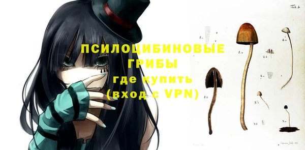 хмурый Осинники