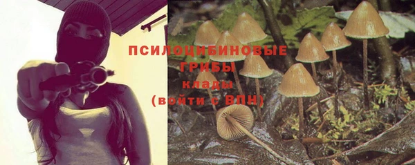 ECSTASY Вяземский