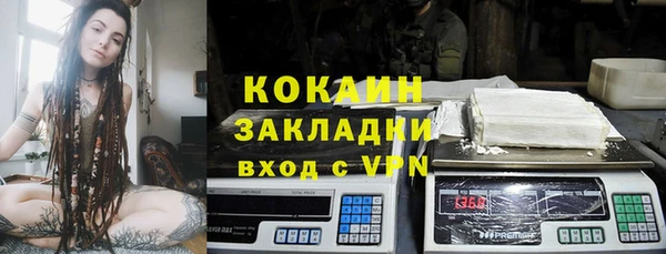 гидра Вязьма