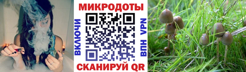 Псилоцибиновые грибы GOLDEN TEACHER  купить  сайты  Нижние Серги 